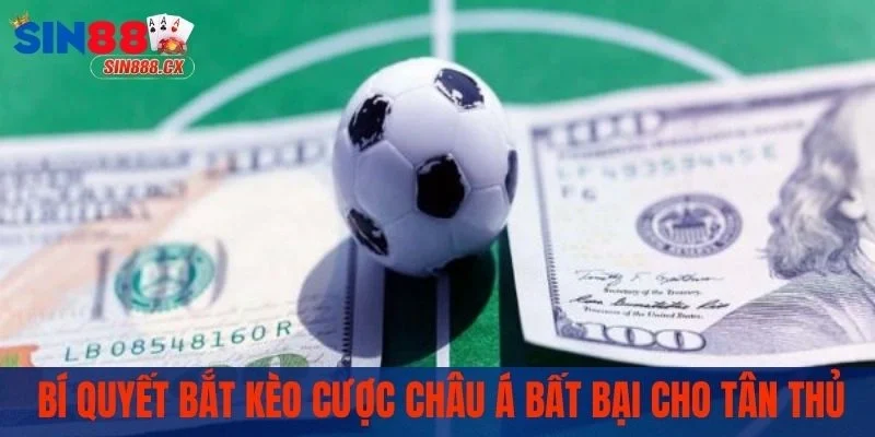 Kèo Châu Á Là Gì? Tất Tần Tật Kiến Thức Hội Viên Cần Biết 3 Bí quyết bắt kèo cược châu Á bất bại cho tân thủ