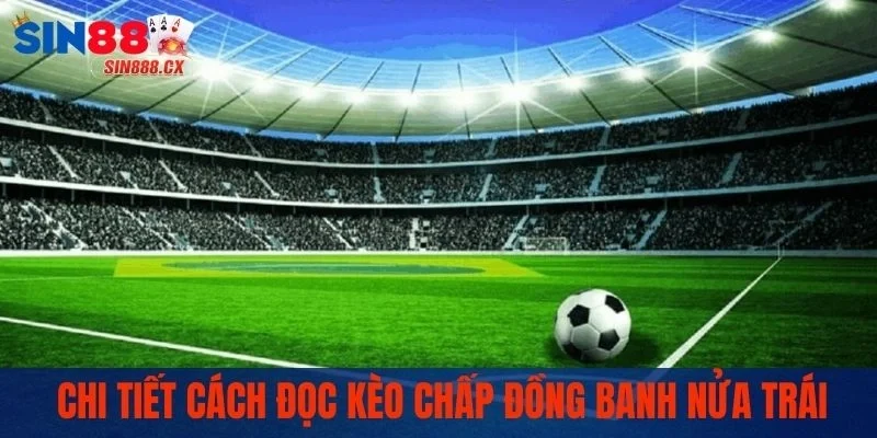 Kèo Châu Á Là Gì? Tất Tần Tật Kiến Thức Hội Viên Cần Biết 2 Chi tiết cách đọc kèo chấp đồng banh nửa trái
