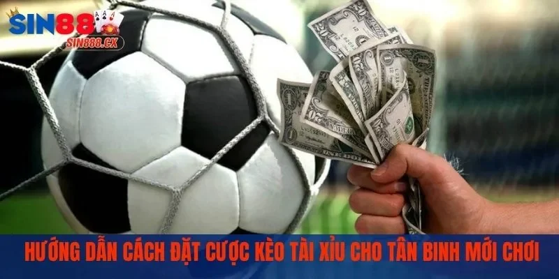 Kèo Tài Xỉu | Cập Nhật 3 Chiến Thuật Lên Kèo Thắng Lớn 2 Hướng dẫn đặt cược nhanh