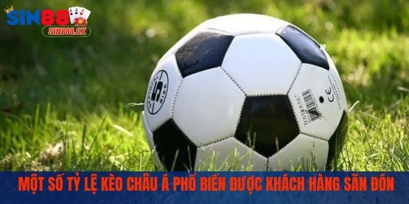 Tỷ Lệ Kèo Châu Á - Lựa Chọn Phù Hợp Cho Tay Cược Sành Điệu 2 Tỷ lệ kèo châu Á thường gặp